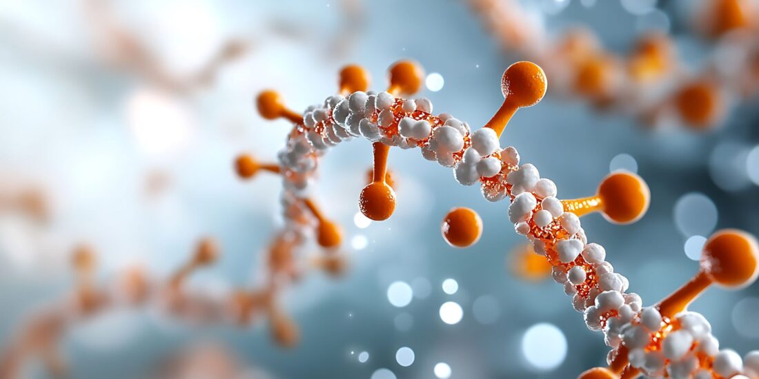 Les chaperonnes, ces protéines indispensables hautement conservées