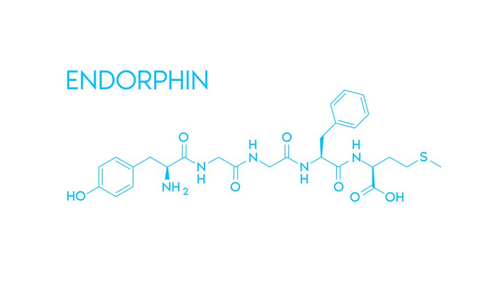 endorphine